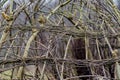 Close-up of thin tree branches intertwined in the process of making a primitive hut Royalty Free Stock Photo