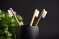 Close up of three bamboo toothbrushes in a black glass with plant