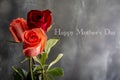 A Close up of Three Beautiful Roses and Happy Mother`s Day on the Right Center of the Image