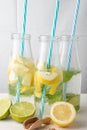 Close-up of three bottles with blue straw, water and lemon, lime and mint slices, on white table with half lemons and wooden spoon Royalty Free Stock Photo