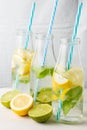 Close-up of three bottles with water, pieces of lemon and blue straws, on white wooden table with half a lemons and limes, white b Royalty Free Stock Photo
