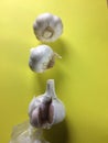 Three bulbs of garlic
