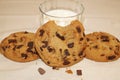 Chocolate Chip Cookies and Milk on Table Royalty Free Stock Photo