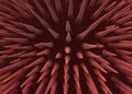 Close up three dimensional illustration of a red sea urchin body