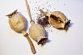 Dry, ripe poppy heads and its grains on white. Royalty Free Stock Photo