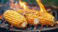 Close-up of three ears of corn roasting over an open fire. The corn is golden yellow and slightly charred, and the flames are Royalty Free Stock Photo