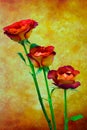 Three rose leonidas presented against dark grunge background