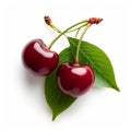 Close-up of three glossy red cherries with green stems, isolated on a white background. Royalty Free Stock Photo