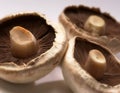 Close up of three large whole mushrooms