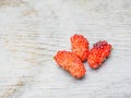 Close up three nearly ripe Mulberries Royalty Free Stock Photo