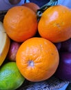Close-up of three oranges in a fruit basket Royalty Free Stock Photo