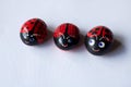 Close up of three painted stones as cute ladybugs Royalty Free Stock Photo