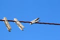 Pegs on a clothesline. Royalty Free Stock Photo