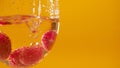 Macro extreme close up. Raspberry falls into glass of white wine alcohol over yellow background. Bubbles around berries