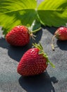 Close-up of three ripe red strawberries on black Royalty Free Stock Photo