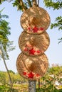 Close-up of three straw hats hanging on a tree Royalty Free Stock Photo