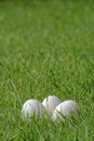 Close-up of three white Easter eggs in green grass Royalty Free Stock Photo