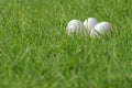 Close-up of three white Easter eggs in green lawn Royalty Free Stock Photo