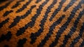 Close-up of a tiger moth wing texture pattern Royalty Free Stock Photo