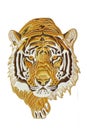 A close up of a tiger's face on a white background, embroidery on white background Royalty Free Stock Photo