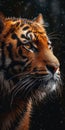 A close up of a tiger in the snow, animalistic wallpaper background