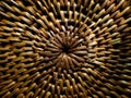 A close-up of tightly woven wicker, creating a circular pattern. The weaving uses narrow, flat rattan strips, radiating from the c Royalty Free Stock Photo