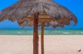 Close-up of tiki thatched Umbrellas on the beach with the ocean and very blue sky in background and a bird on the sand on a windy