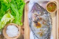 Close up tilapia grilled with vegetable Royalty Free Stock Photo