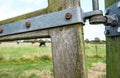Close-up of a timber-framed farm gate with a distant view of a small dairy herd.