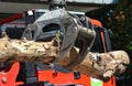 A close-up on a timber loader, knuckleboom log loader with a large tree trunk