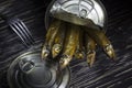 Close-up of Tinned capelin fish on wooden background Royalty Free Stock Photo