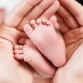 Close-up tiny baby feet in hands. Royalty Free Stock Photo