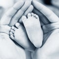 Close-up tiny baby feet in hands. Royalty Free Stock Photo