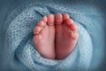 Baby foot on blue soft coverlet, blanket. Detail of a newborn baby legs. Royalty Free Stock Photo