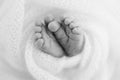 tiny, cute, bare toes, heels and feet of a newborn girl, boy. Baby foot on soft coverlet, blanket. Royalty Free Stock Photo