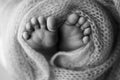 Close-up of tiny, cute, bare toes, heels and feet of a newborn girl, boy. Baby foot on soft coverlet, blanket. Royalty Free Stock Photo