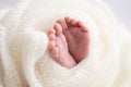 Close-up of tiny, cute, bare toes, heels and feet of a newborn girl, boy. Baby foot on white soft coverlet, blanket. Royalty Free Stock Photo