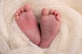 Close-up of tiny, cute, bare toes, heels and feet of a newborn girl, boy. Baby foot on white soft coverlet, blanket. Royalty Free Stock Photo