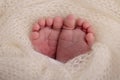 Close-up of tiny, cute, bare toes, heels and feet of a newborn girl, boy. Baby foot on white soft coverlet, blanket. Royalty Free Stock Photo