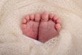 Close-up of tiny, cute, bare toes, heels and feet of a newborn girl, boy. Baby foot on white soft coverlet, blanket. Royalty Free Stock Photo