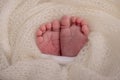 Close-up of tiny, cute, bare toes, heels and feet of a newborn girl, boy. Baby foot on white soft coverlet, blanket. Royalty Free Stock Photo