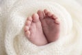 Close-up of tiny, cute, bare toes, heels and feet of a newborn girl, boy. Baby foot on white soft coverlet, blanket. Royalty Free Stock Photo