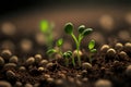 Close up of tiny green seedlings sprouting in the ground