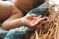 Close-up of tiny newborn kid hand in nest Royalty Free Stock Photo