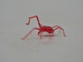 Tiny red mite Royalty Free Stock Photo