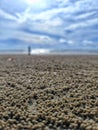 Close-up of tiny sand pellets arranged by a sand bubbler crab, showcasing unique coastal textures and natural patterns. Royalty Free Stock Photo