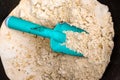 Close-up of tiny shovel trowel in a bucket of sand Royalty Free Stock Photo