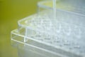 Close up of tips of micropipette transfer solution into 96 wells micro plate with blur background in biosafety cabinet. Research, Royalty Free Stock Photo