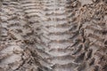 Close-up tire tracks truck on a dirt road in daylight