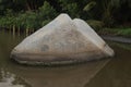 close up to a big rock into a tropical river with mangrove swamp foliage Royalty Free Stock Photo